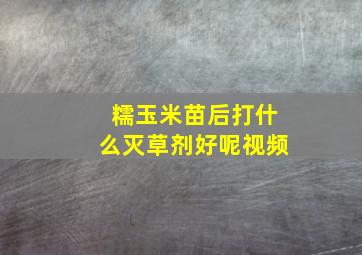 糯玉米苗后打什么灭草剂好呢视频