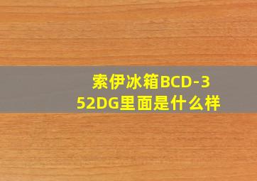 索伊冰箱BCD-352DG里面是什么样