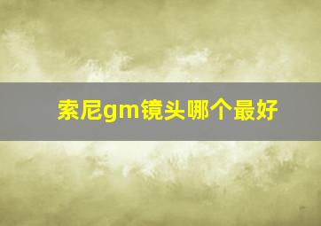 索尼gm镜头哪个最好