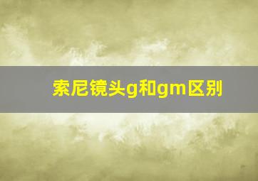 索尼镜头g和gm区别