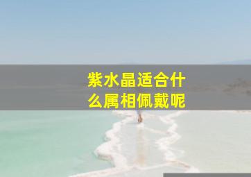 紫水晶适合什么属相佩戴呢