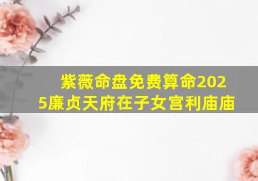 紫薇命盘免费算命2025廉贞天府在子女宫利庙庙