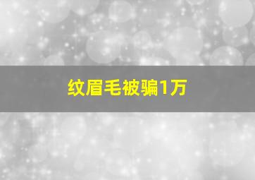 纹眉毛被骗1万