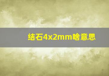 结石4x2mm啥意思