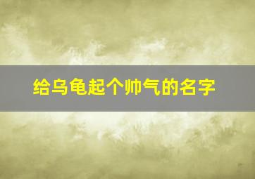 给乌龟起个帅气的名字