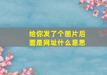 给你发了个图片后面是网址什么意思