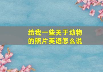 给我一些关于动物的照片英语怎么说