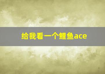 给我看一个鲤鱼ace