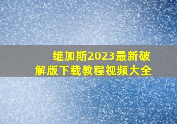 维加斯2023最新破解版下载教程视频大全