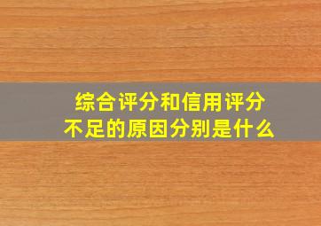 综合评分和信用评分不足的原因分别是什么