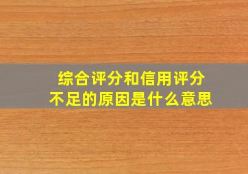 综合评分和信用评分不足的原因是什么意思