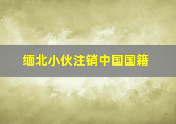 缅北小伙注销中国国籍