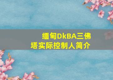 缅甸DkBA三佛塔实际控制人简介