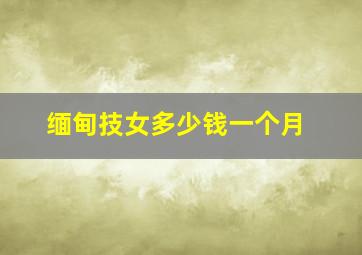 缅甸技女多少钱一个月