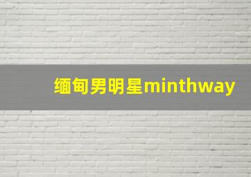 缅甸男明星minthway