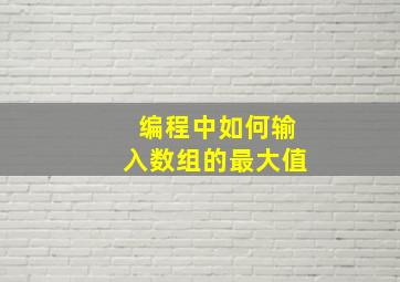 编程中如何输入数组的最大值