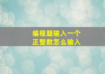 编程题输入一个正整数怎么输入