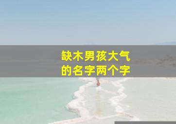 缺木男孩大气的名字两个字