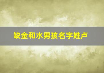 缺金和水男孩名字姓卢