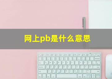 网上pb是什么意思