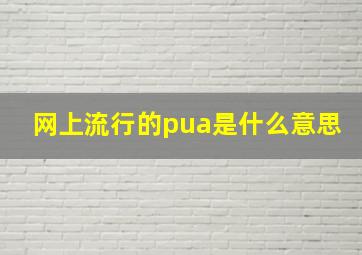 网上流行的pua是什么意思