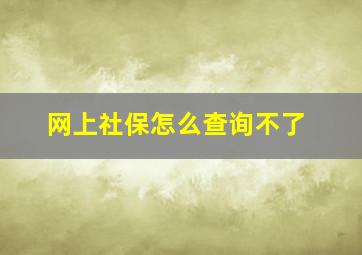 网上社保怎么查询不了