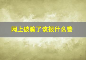 网上被骗了该报什么警