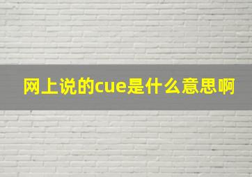 网上说的cue是什么意思啊