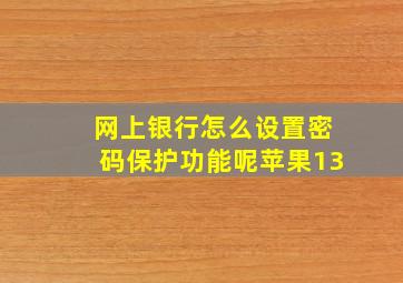 网上银行怎么设置密码保护功能呢苹果13