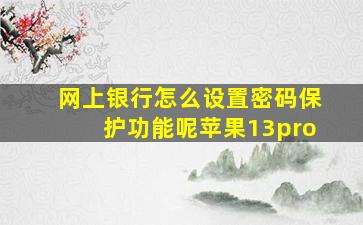 网上银行怎么设置密码保护功能呢苹果13pro