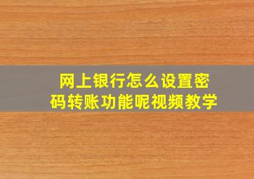 网上银行怎么设置密码转账功能呢视频教学