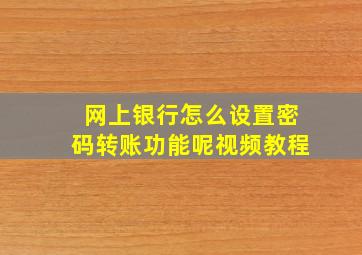 网上银行怎么设置密码转账功能呢视频教程