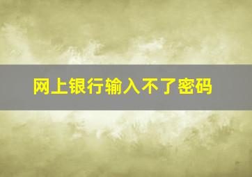 网上银行输入不了密码