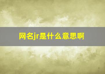 网名jr是什么意思啊