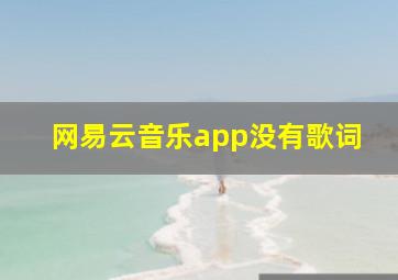 网易云音乐app没有歌词