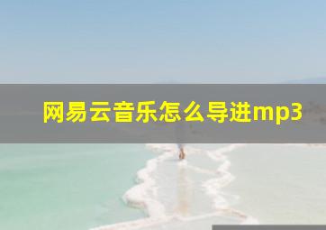 网易云音乐怎么导进mp3