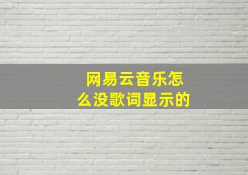 网易云音乐怎么没歌词显示的