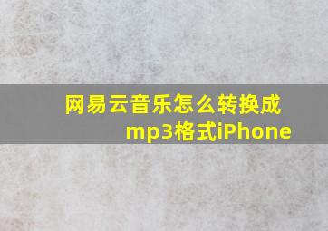 网易云音乐怎么转换成mp3格式iPhone