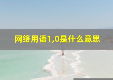 网络用语1,0是什么意思