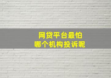 网贷平台最怕哪个机构投诉呢