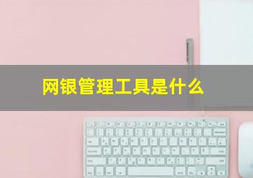 网银管理工具是什么