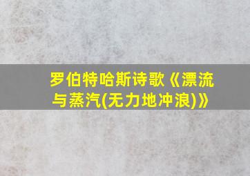 罗伯特哈斯诗歌《漂流与蒸汽(无力地冲浪)》