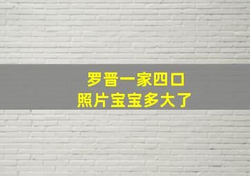 罗晋一家四口照片宝宝多大了