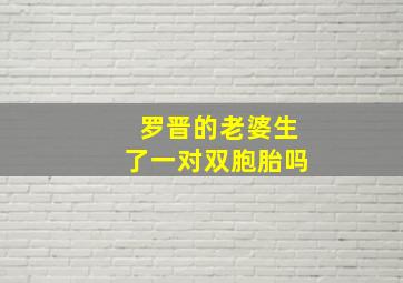 罗晋的老婆生了一对双胞胎吗