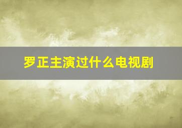 罗正主演过什么电视剧