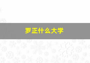 罗正什么大学