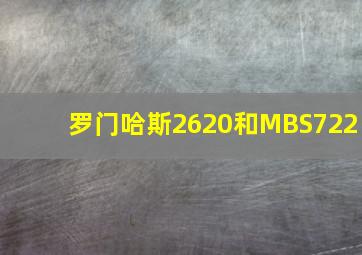 罗门哈斯2620和MBS722