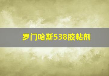 罗门哈斯538胶粘剂