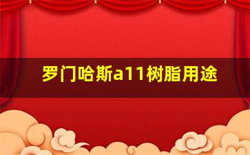 罗门哈斯a11树脂用途