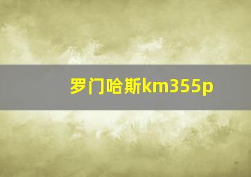 罗门哈斯km355p